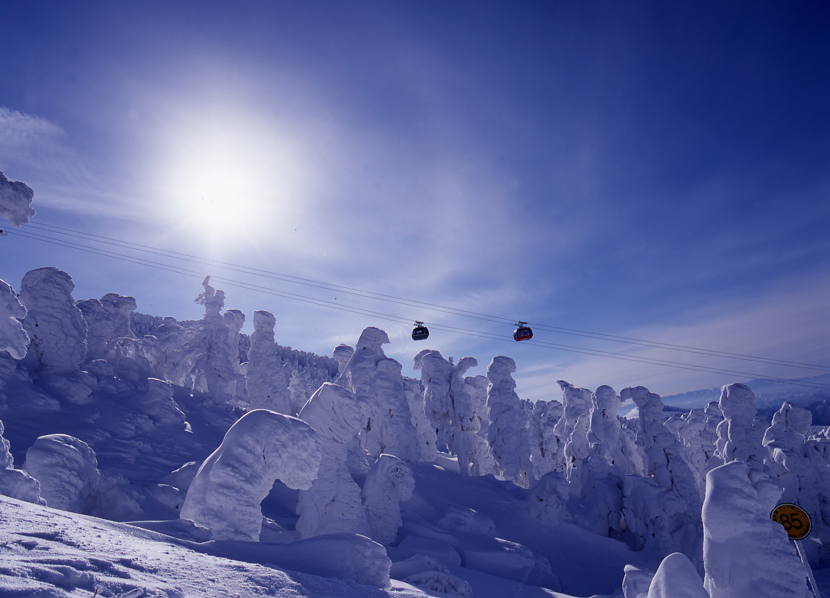 蔵王滑雪