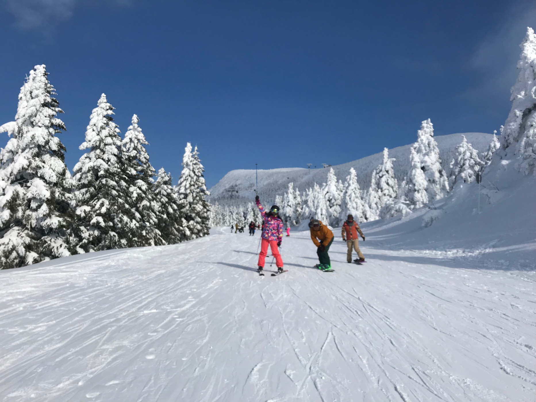 蔵王滑雪