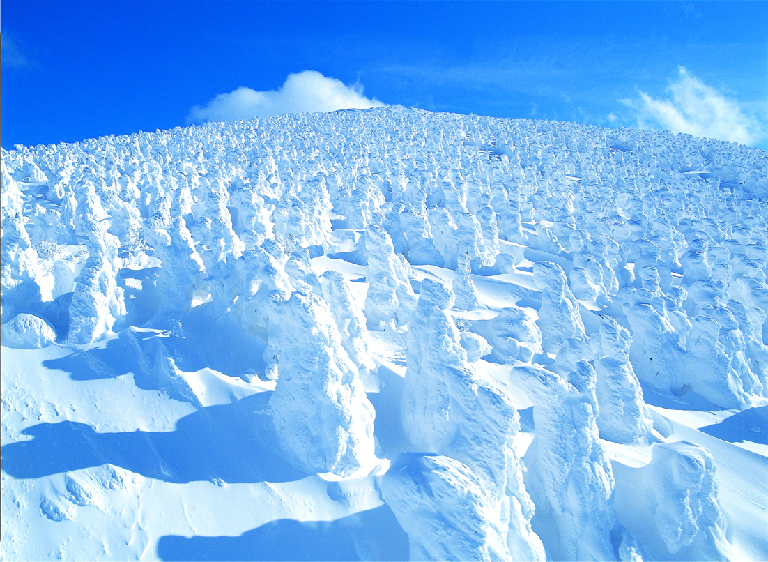 蔵王滑雪