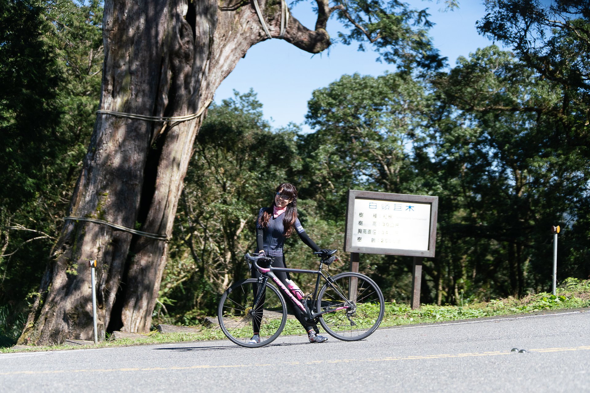 太平山單車-自行車旅遊