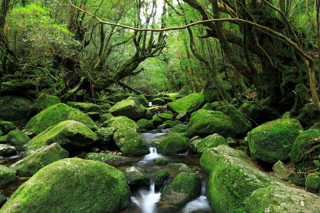 百岳健走,日本百大名山