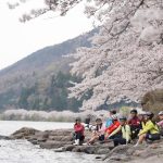滿開的櫻花在滋賀縣、騎乘單車一同環繞琵琶湖200公里挑戰吧