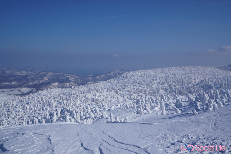 青森八甲田山滑雪