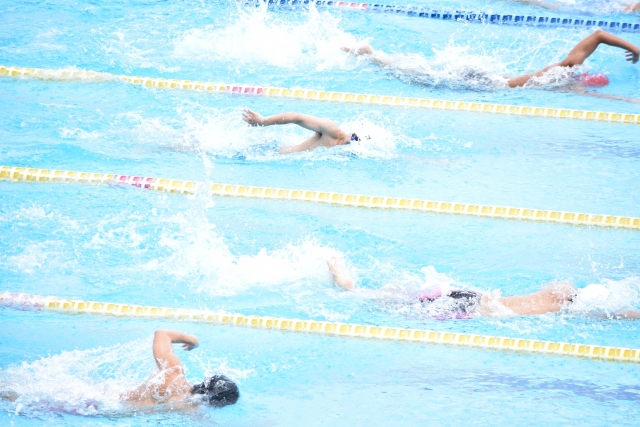 鐵人三項游泳訓練