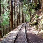 【自行車旅遊】【嘉義生態單車+特富野古道健走】原住民文化2日