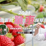 台灣【苗栗】一起去採草莓、雪霸森林單車＆健走1日