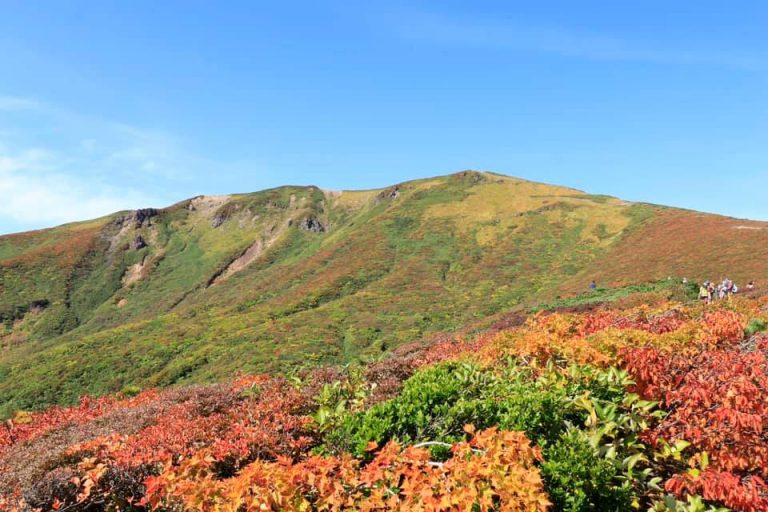 日本東北藏王山與栗駒山登山健行，五日楓葉滿山之旅