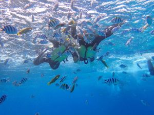 沖繩青之洞窟水上體驗怎麼選？浮潛、體驗潛水、SUP立槳比較