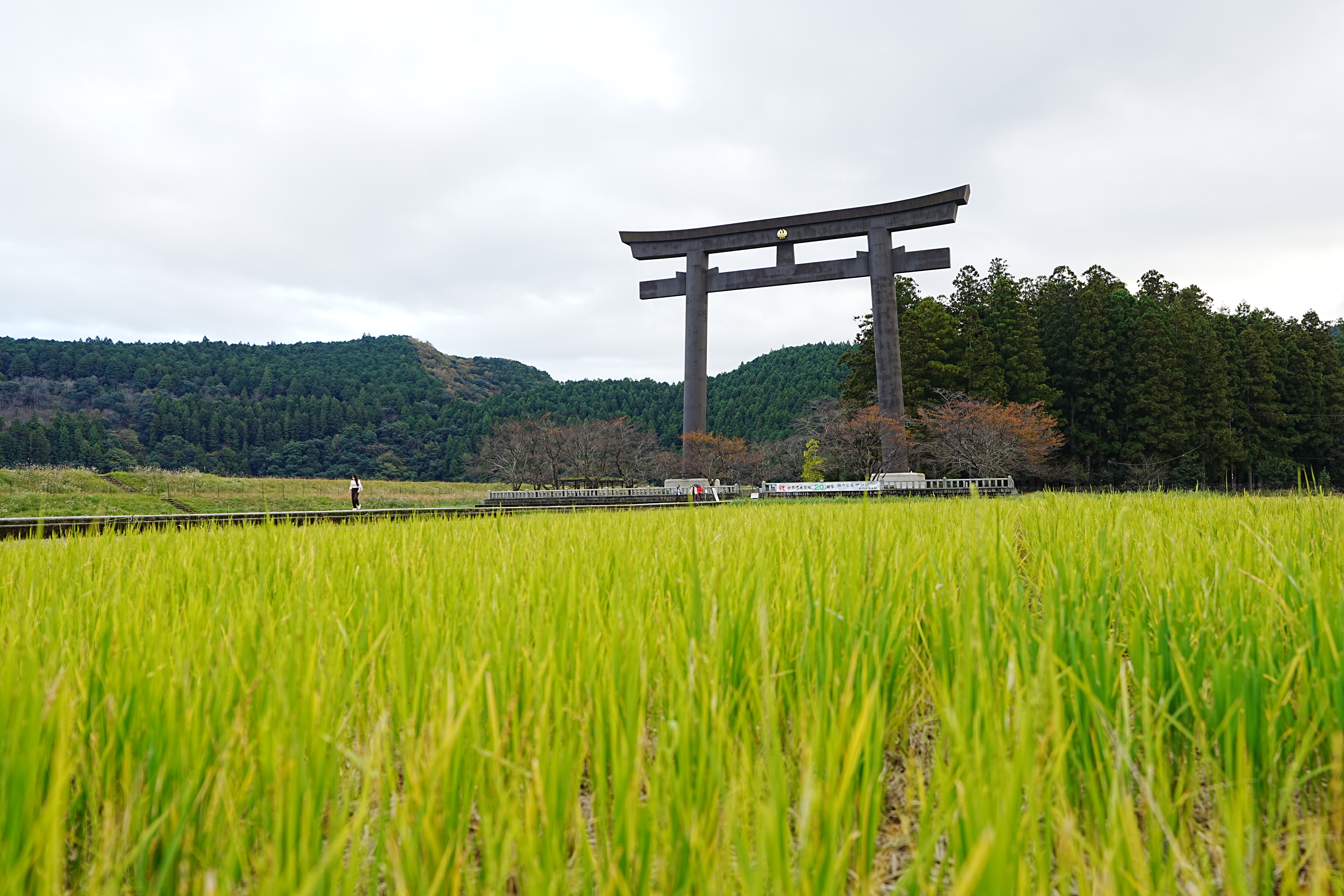熊野古道沿途大鳥居與開闊稻田景觀,適合作為休息用餐地標