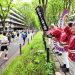 日本【馬拉松旅遊】仙台半馬馬拉松3天2日